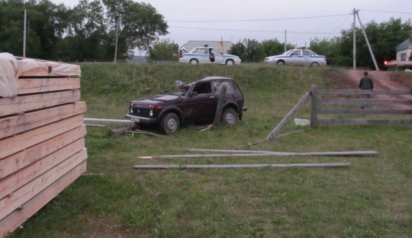 В Башкирии пьяный водитель на "Ниве" убил пассажира, врезавшись в столб