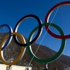 Sochi_olimpiiycam